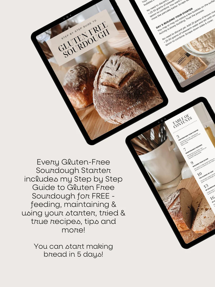 Gluten-Free Organic Sourdough Starter